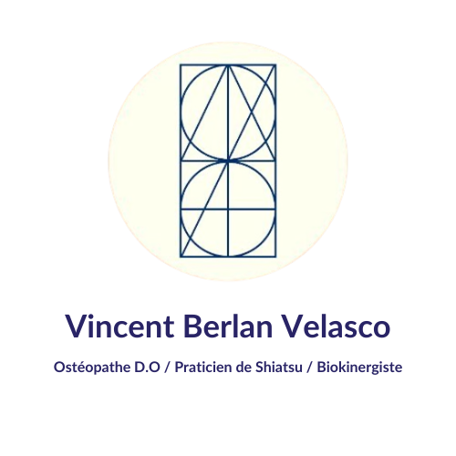 Vincent Berlan Velasco logo